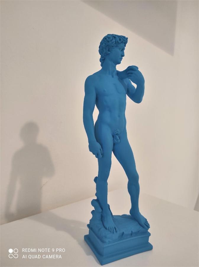 Dependace Il David Di Michelangelo Apartment Florenz